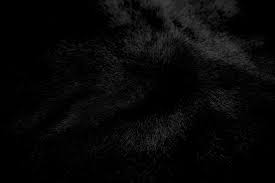 imagesCAG5574Q - Copy