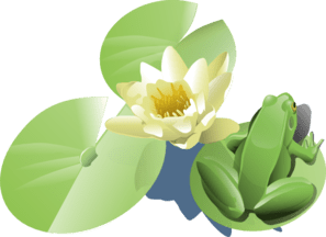 frog-and-lilypad-md